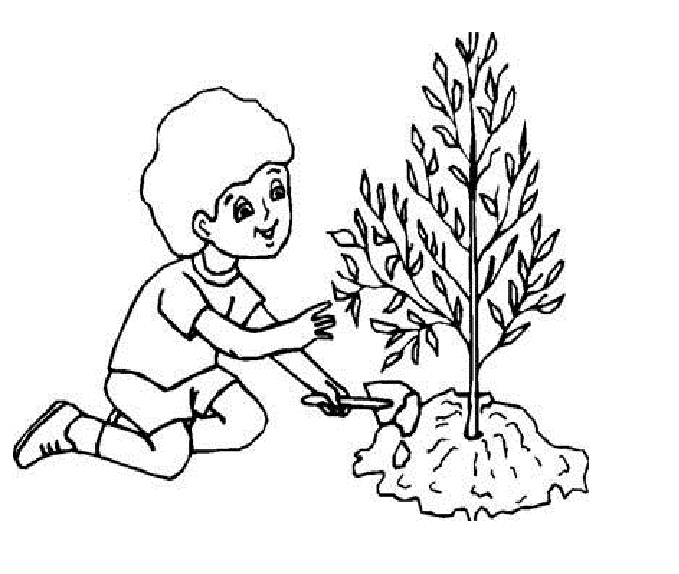 coloring pages seeds and plants - photo #38
