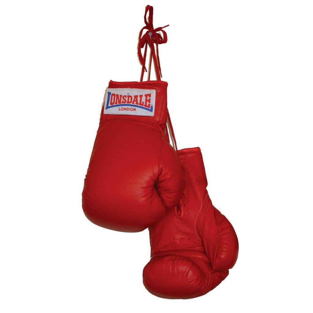 boxing gloves vector png | Jivdom.info