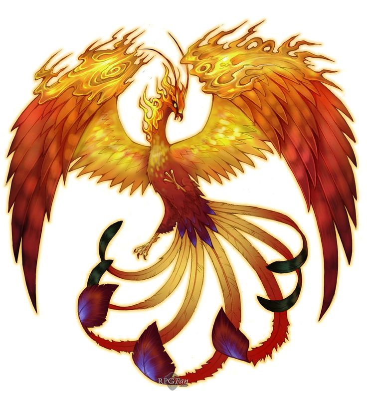 Phoenix Bird | Phoenix, A Phoenix ...