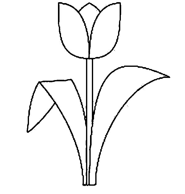 Tulips flowers coloring pages and Tulips Crafts : spring is here ...