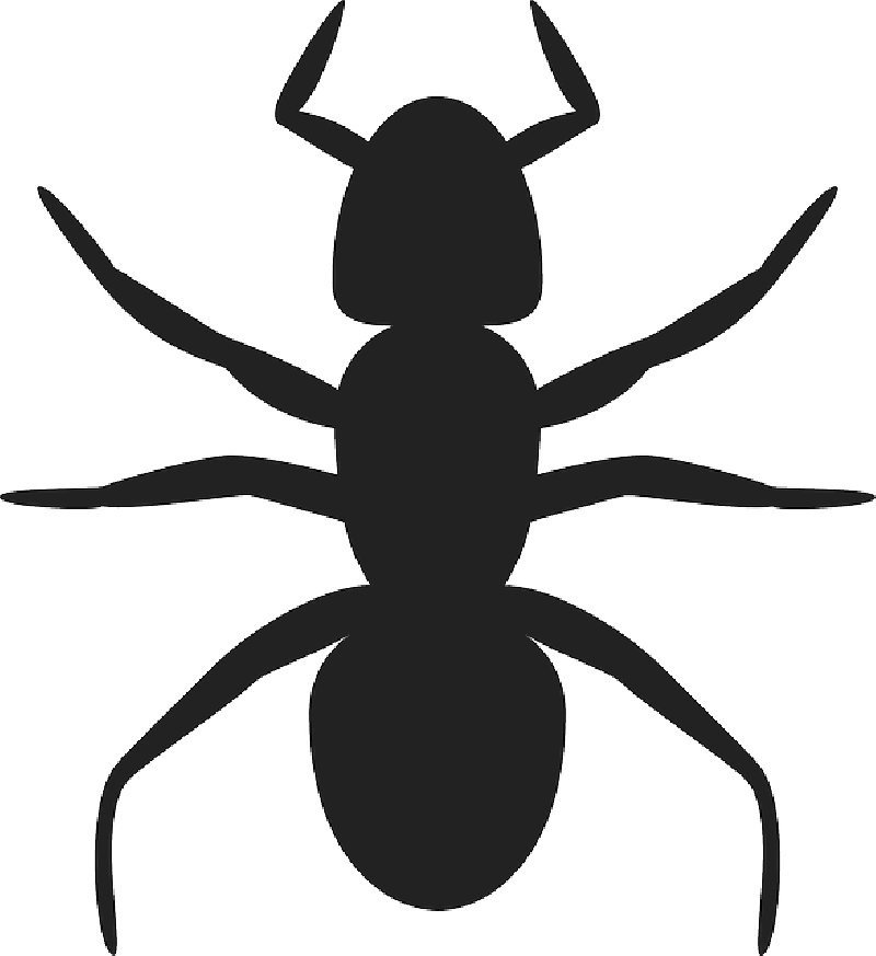 BLACK, ICON, OUTLINE, DRAWING, GLOSSY, CARTOON, ANT - Public ...