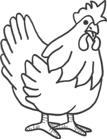 Hen Line Drawing Clipart - Free to use Clip Art Resource