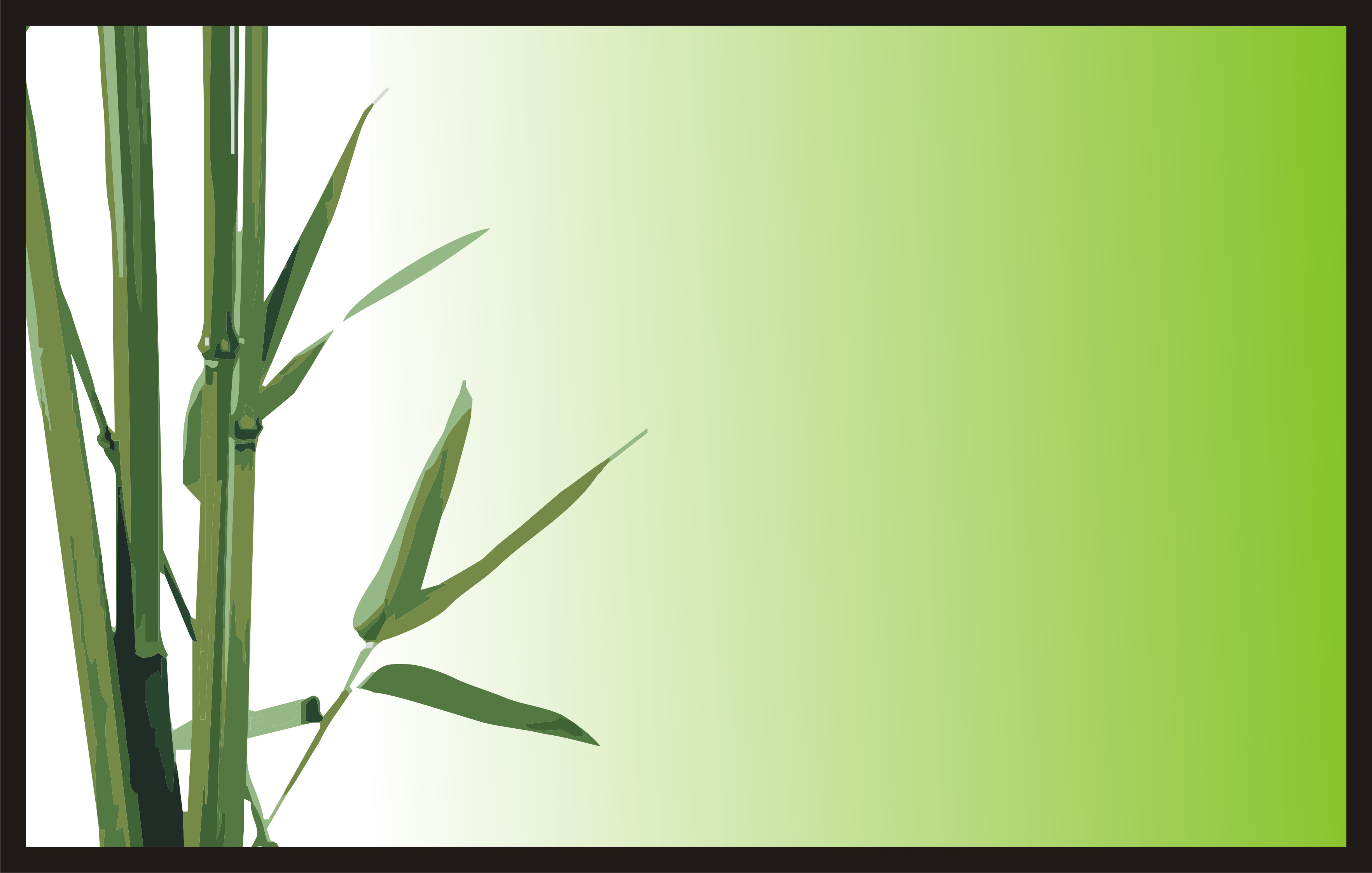 Green Bamboo Powerpoint Background for Powerpoint Templates PPT ...