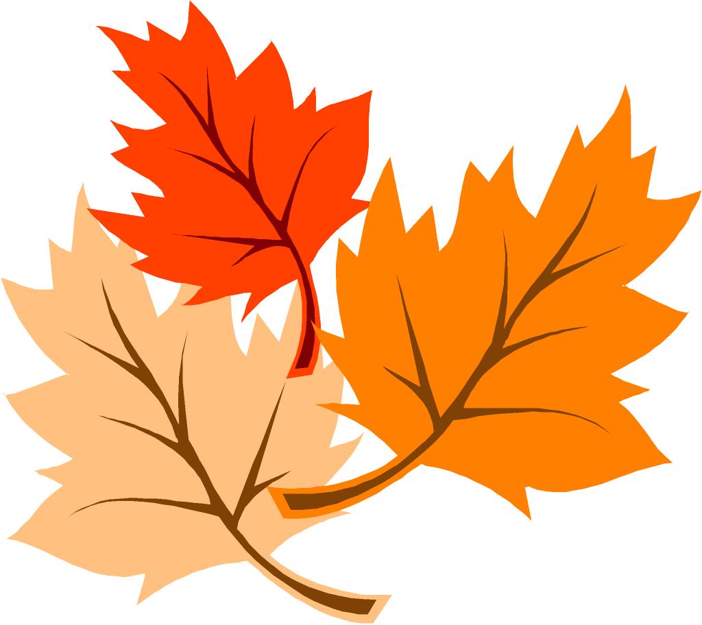 Color Fall Leaves Clipart