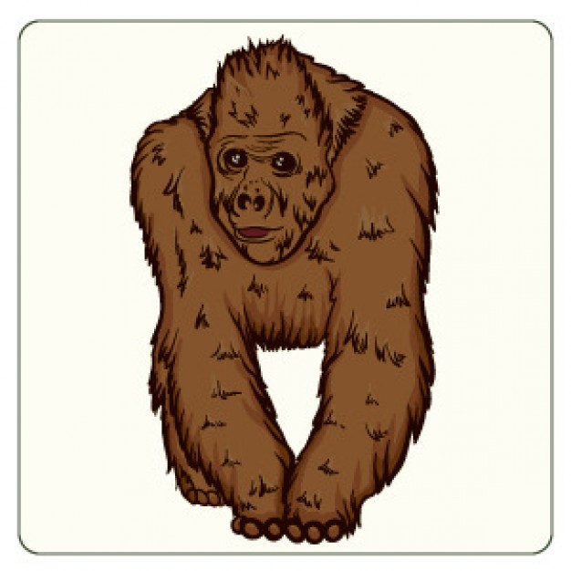 Orangutan Clip Art Free - Free Clipart Images