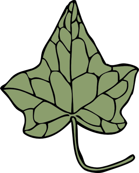 Beanstalk Leaf Template Clipart - Free to use Clip Art Resource