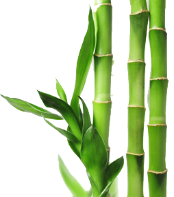 bambuskott bambuskott