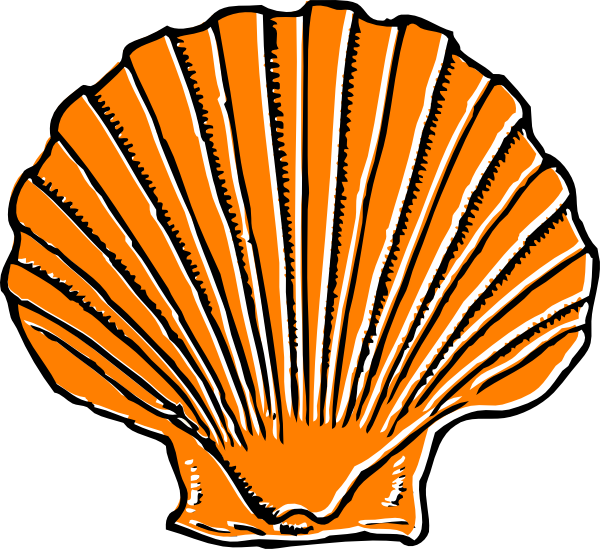 Cartoon Sea Shell - ClipArt Best