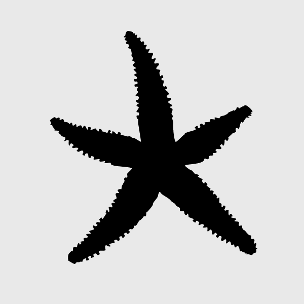 7 Best Images of Printable Starfish Stencil - Large Starfish ...