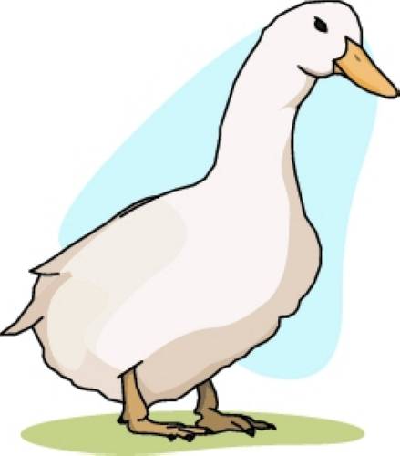 Duck Clipart | Free Download Clip Art | Free Clip Art | on Clipart ...