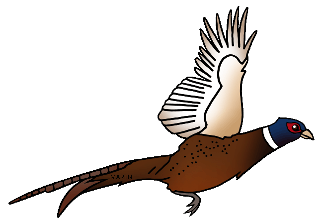Pheasant Clip Art - ClipArt Best