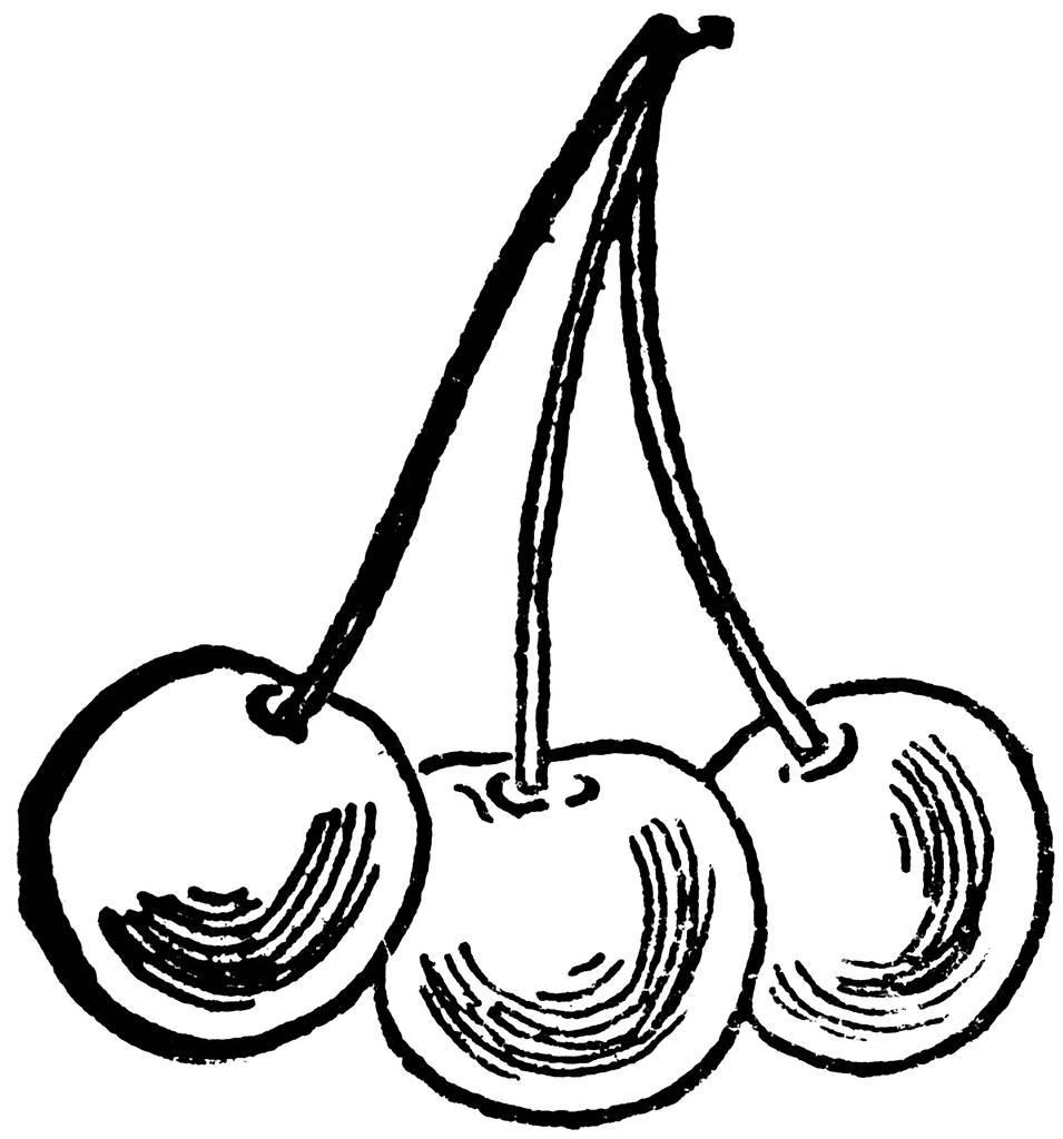 558 views Three Cherries | ClipArt ETC