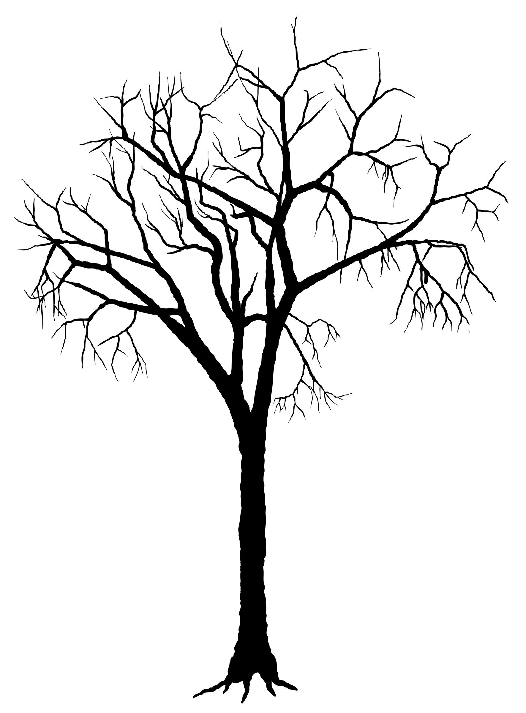 Silhouette Of A Tree - ClipArt Best