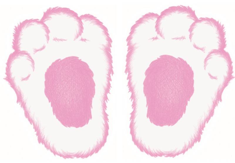 Free Printable Bunny Feet Template 6 Best Images of Free Printable