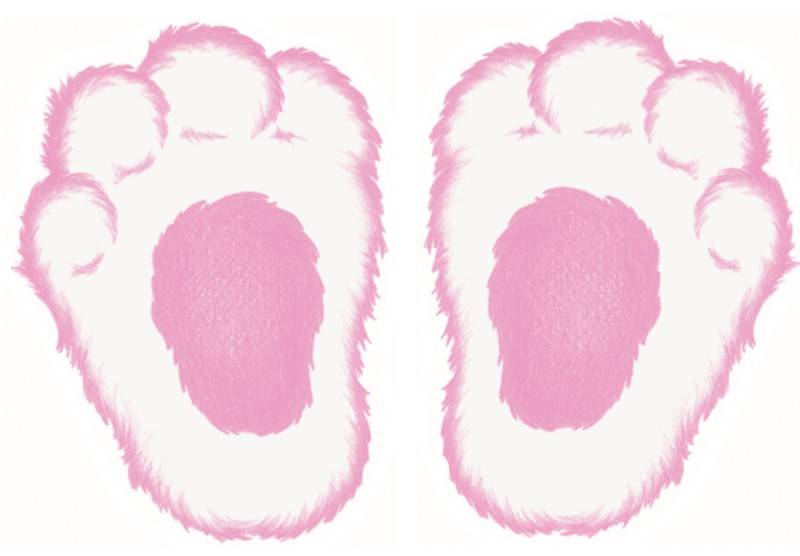 free-printable-bunny-feet-template-6-best-images-of-free-printable-easter-bunny-template