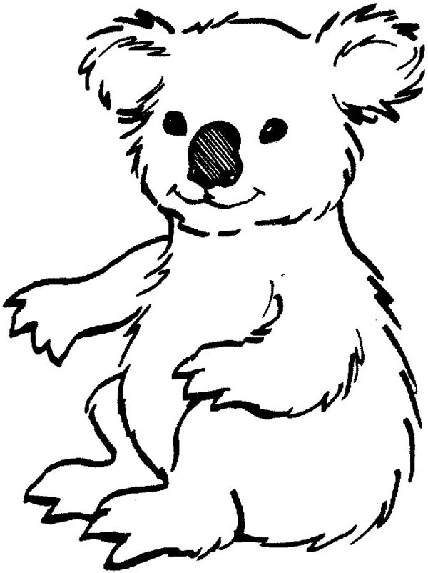 Coloring Pages Koala : Koala coloring pages clipart best Coloring Pages Koala : Koala coloring pages clipart best