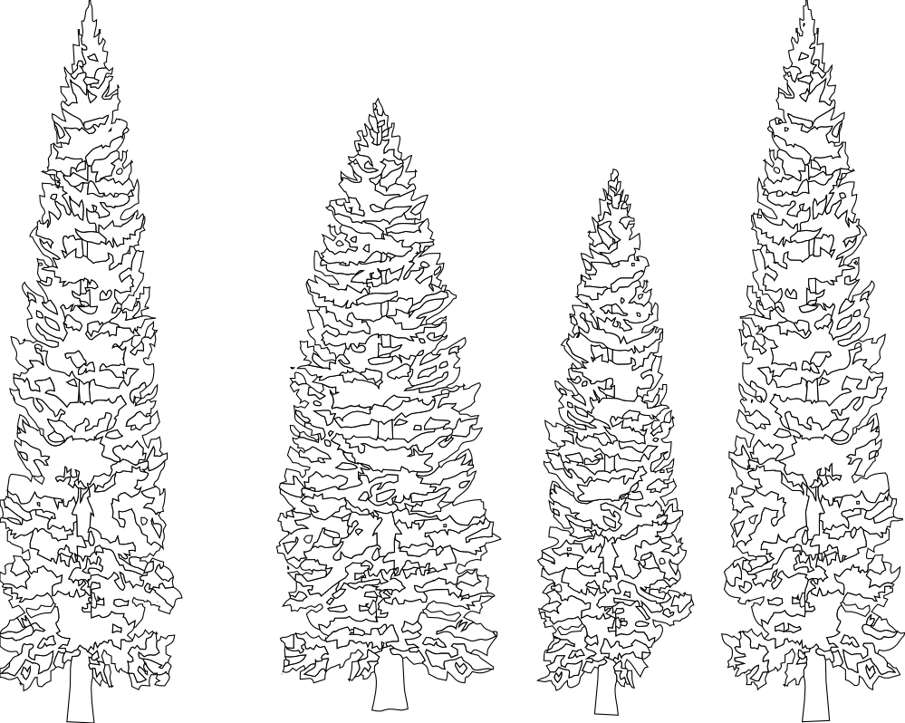 Pine Trees Black White Line Art Coloring Book Colouring 999px.png 434(K)