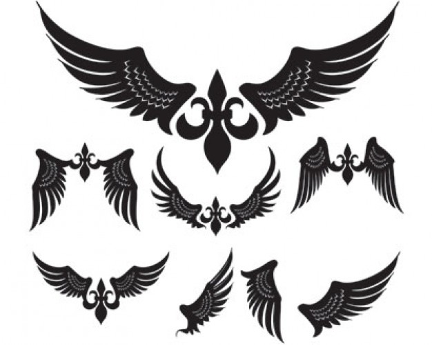 Free Vector Wings Download Images & Pictures - Becuo