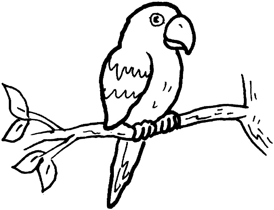 Free Parrot Clipart - Free Clipart Images