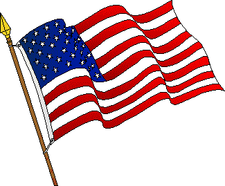 Usa Flag Art