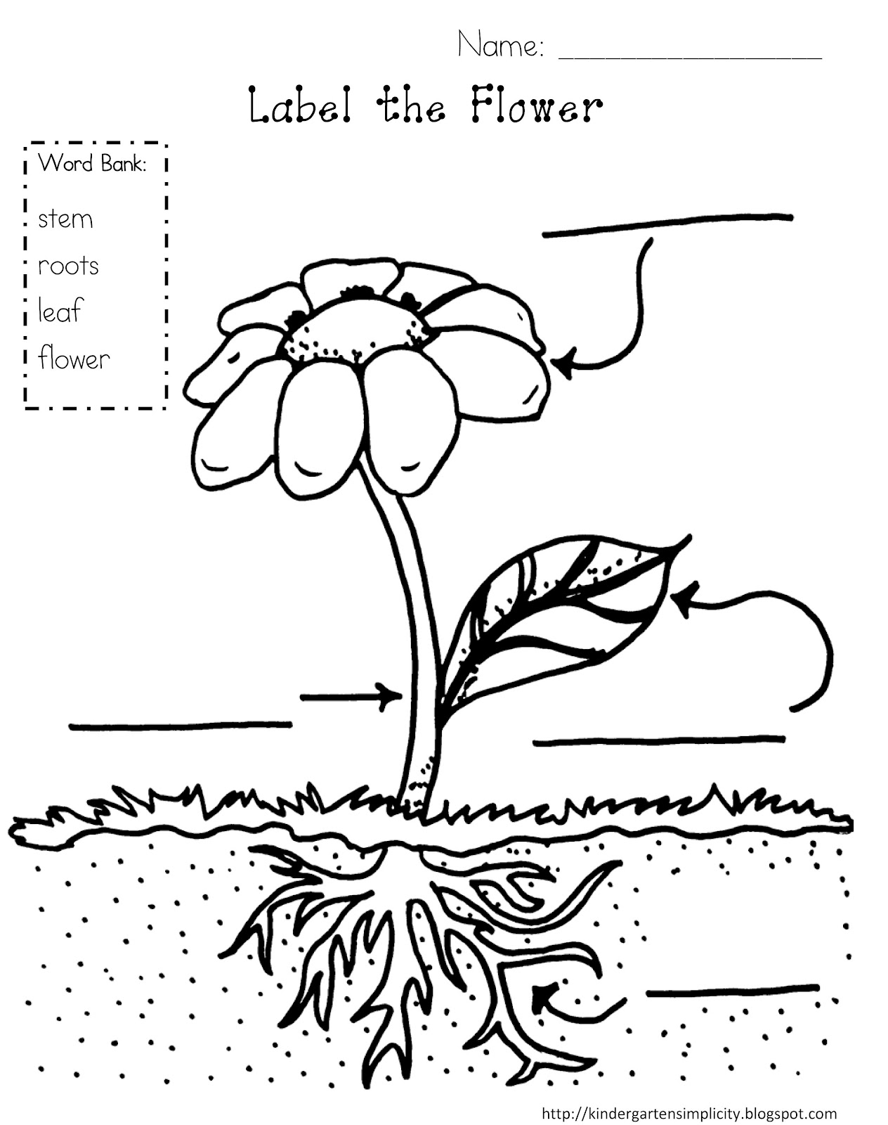 identify plant by flower coloring pages - photo #26