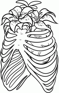 How to Draw a Rib Cage Tattoo