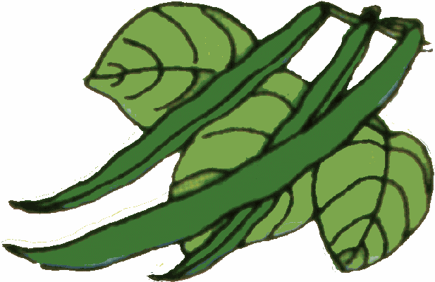 String bean clip art