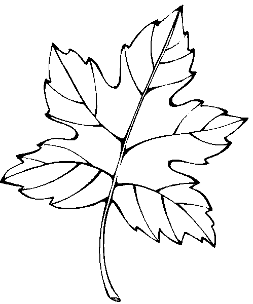 Leaves Coloring Pages | Mewarnai