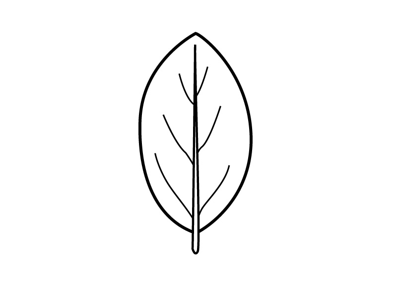 free clip art leaf shape - photo #35