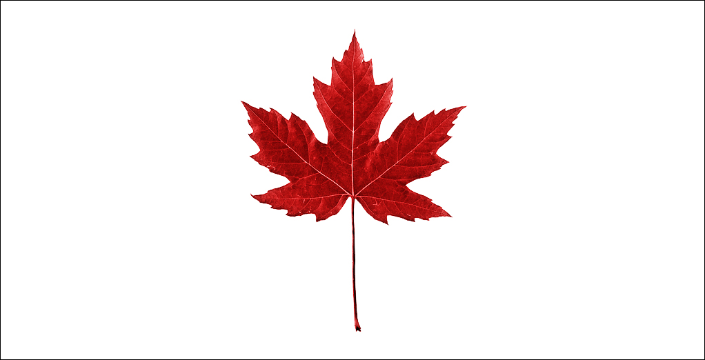 Happy Canada Day! | World of Seeds