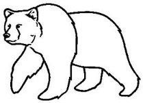 bear-symbol-3.jpg