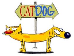 1,096 views CatDog