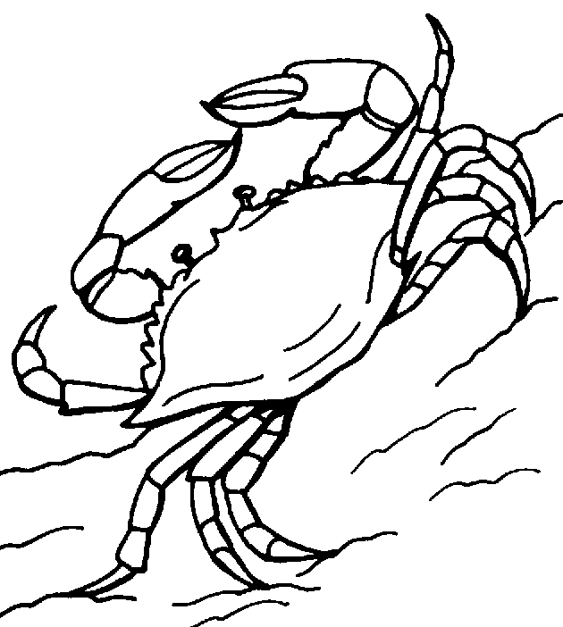 Blue Crab Clip Art From Votes