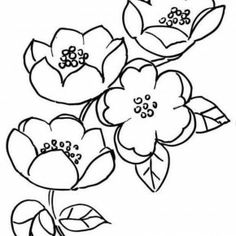 Daisies tattoo, Apple blossoms and Apple blossom tattoos