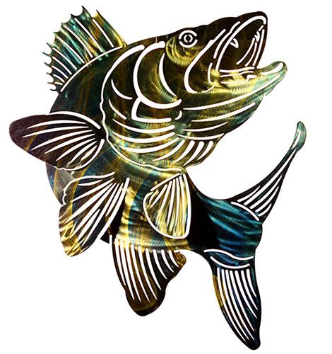 walleye clip art clipart best walleye clip art clipart best