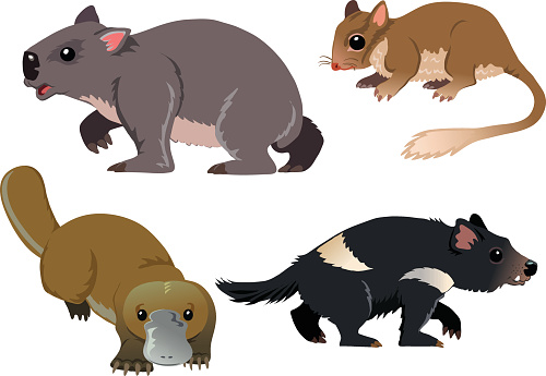 clipart australian animals free - photo #40