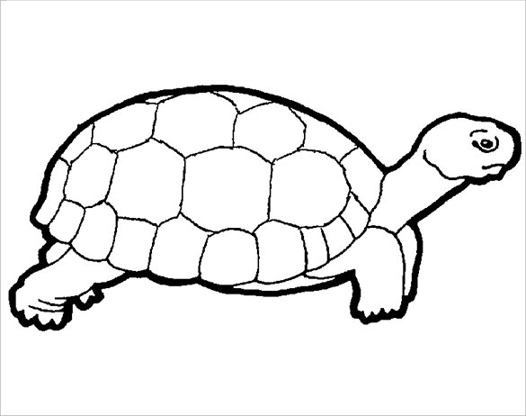 20+ Turtle Templates, Crafts & Colouring Pages | Free & Premium ...