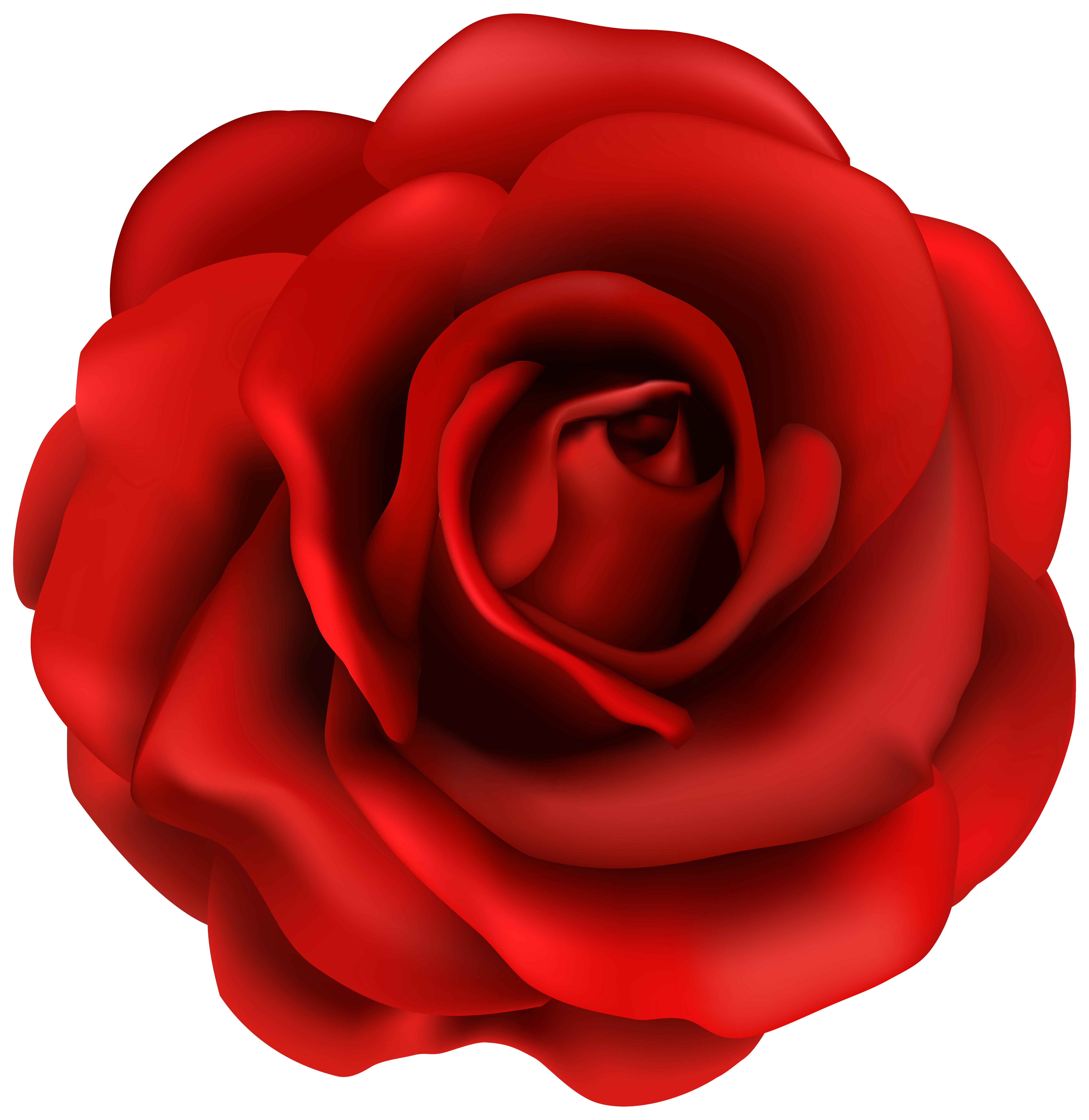Red rose flower clipart image - Cliparting.com