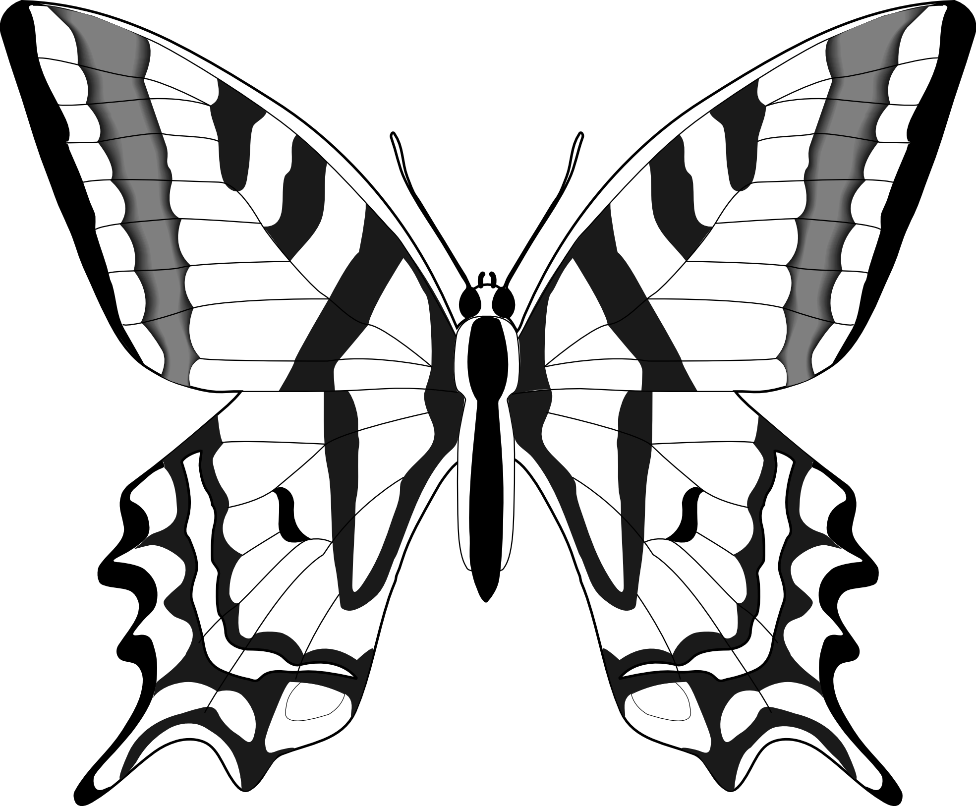 Black and white clipart butterfly - ClipartFox