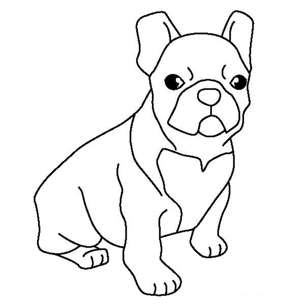 printable coloring page Draw A Black Lab Puppy Step 5 Animals ...