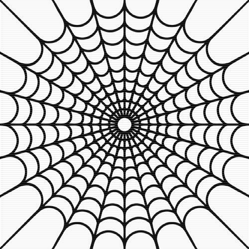 Black and white spider web clipart - ClipartFox