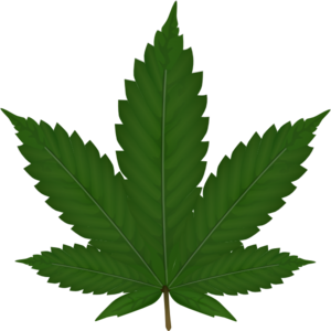 Cannabis leaf outline clipart