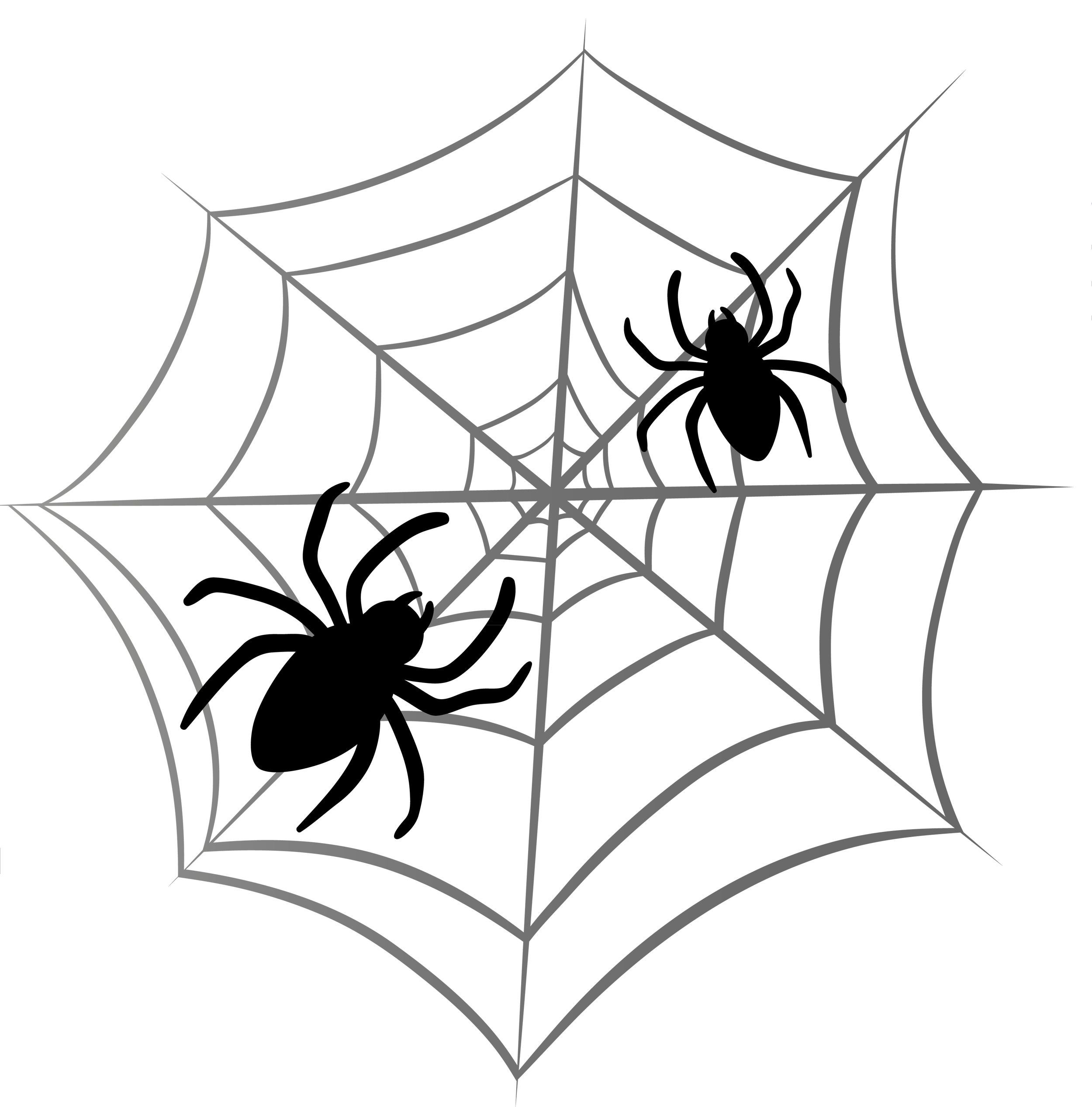Halloween Spider Clipart