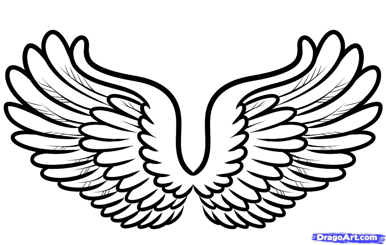 Wings Drawing | Free Download Clip Art | Free Clip Art | on ...