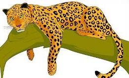 Jaguar vector clip art - Clipartix