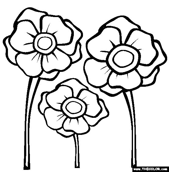 free-printable-poppy-template-clipart-best