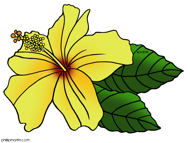 Hawaiian hibiscus clipart