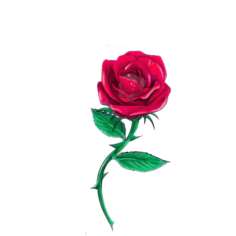 Red Rose Art