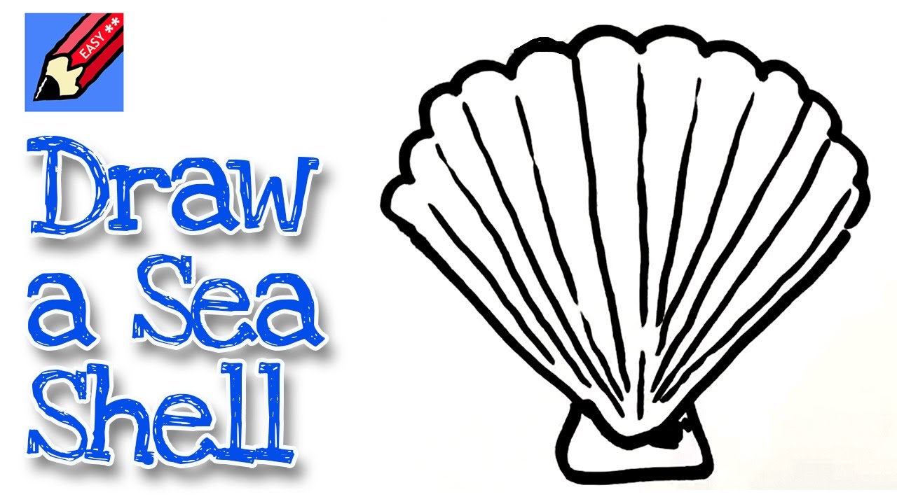 How to draw a Sea Shell Real Easy - for kids and beginners - YouTube