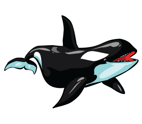 Orcas Clip Art - Free Clipart Images